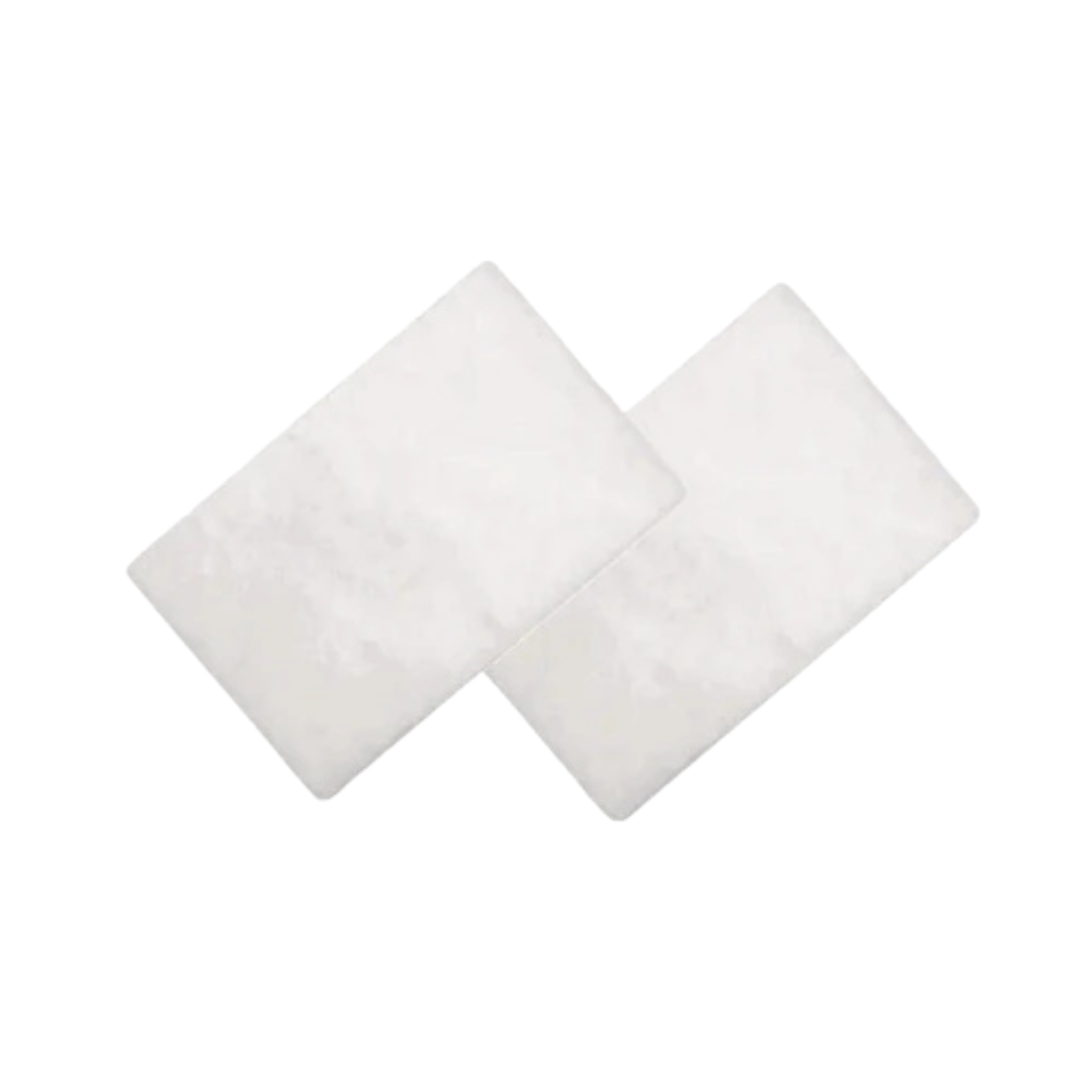ResMed Filters for Airsense 9 and AirSense 10 - 2 per pack