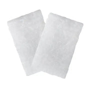 Transcend Micro 510 Hypoallergenic Filters PK/2